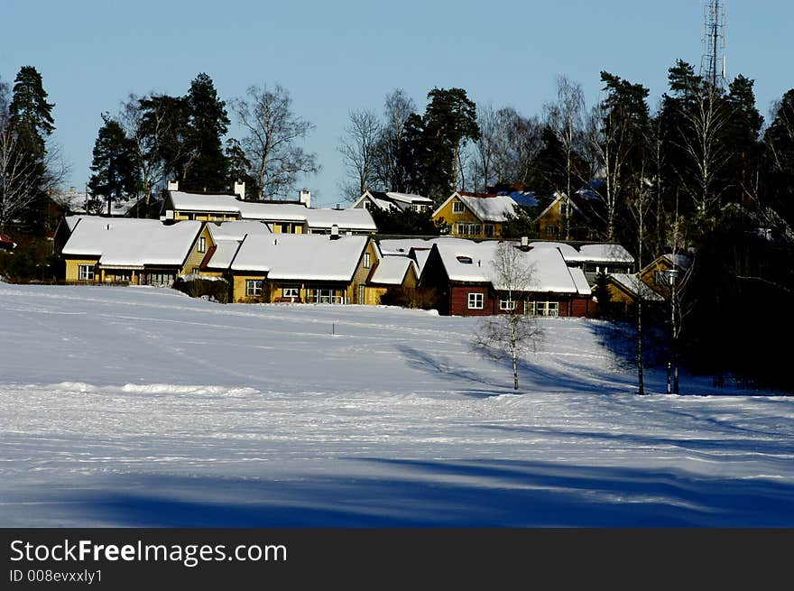 Winter landscape