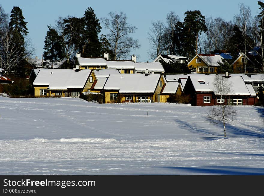 Winter landscape