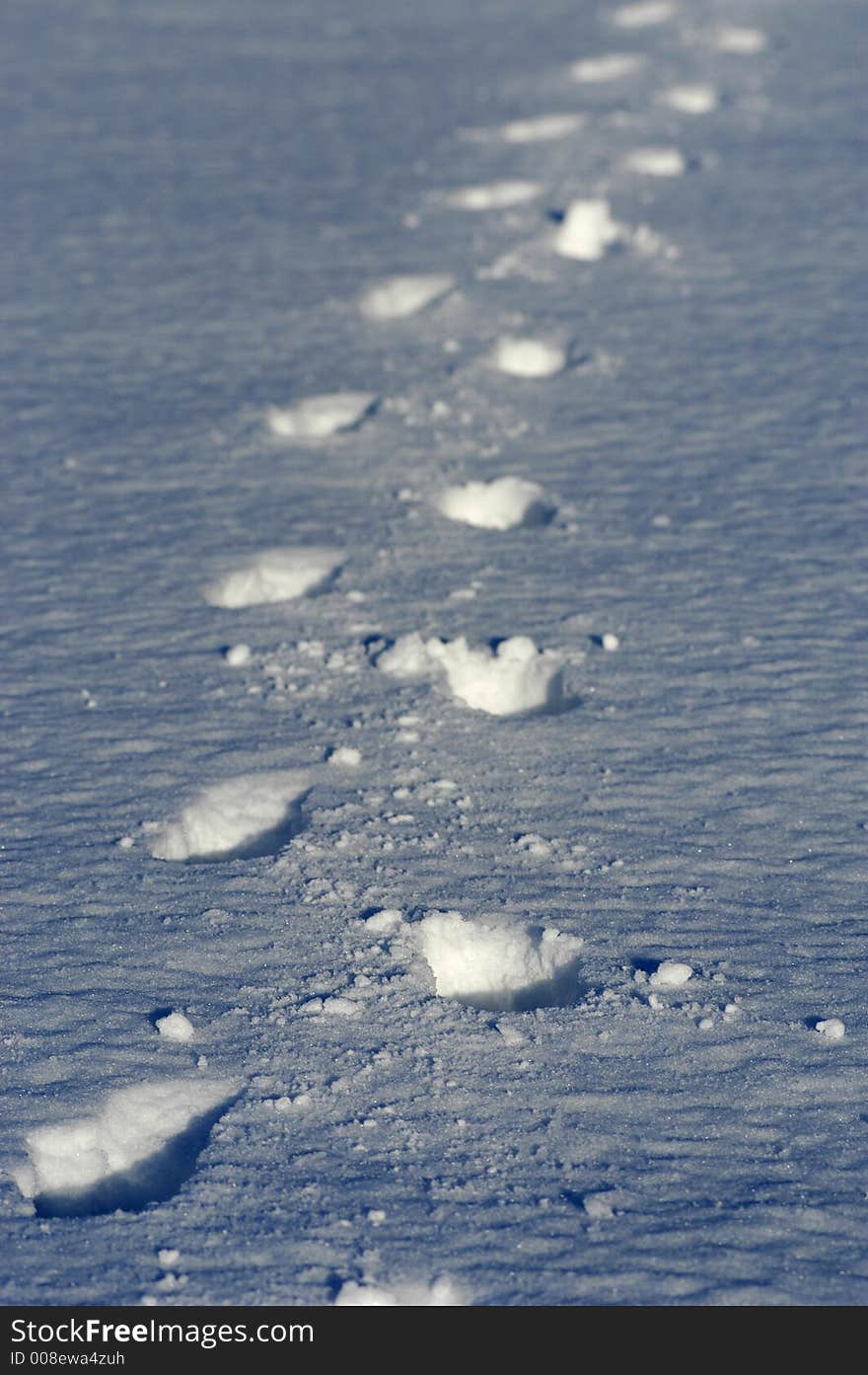 Footprints In Snow