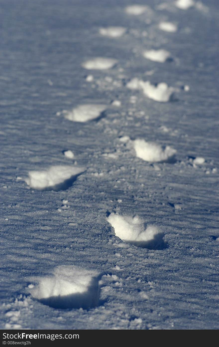 Footprints In Snow