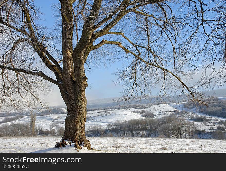 Winter In The Crimea