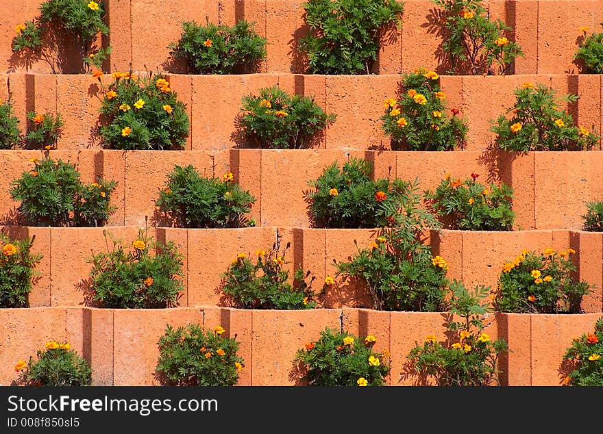 Flower beds on a ledged wall