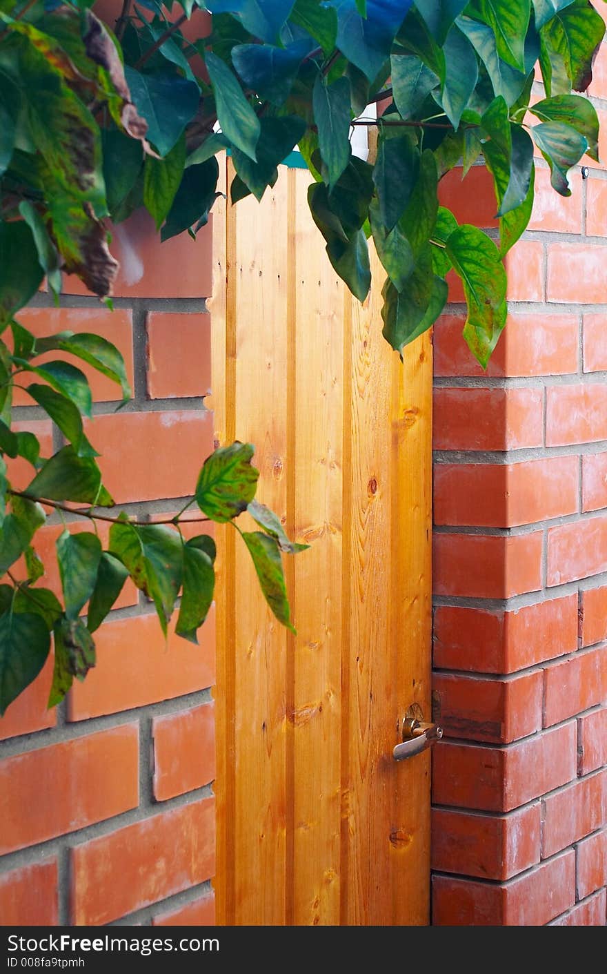 Door In A Wall