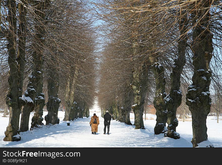 Forest under the snow in winter in denmark Two old persons / couple in a forest path. Forest under the snow in winter in denmark Two old persons / couple in a forest path