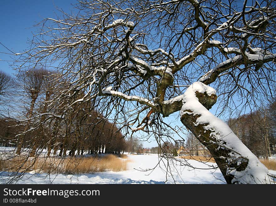 Forest and bench under the snow in denmark. Forest and bench under the snow in denmark