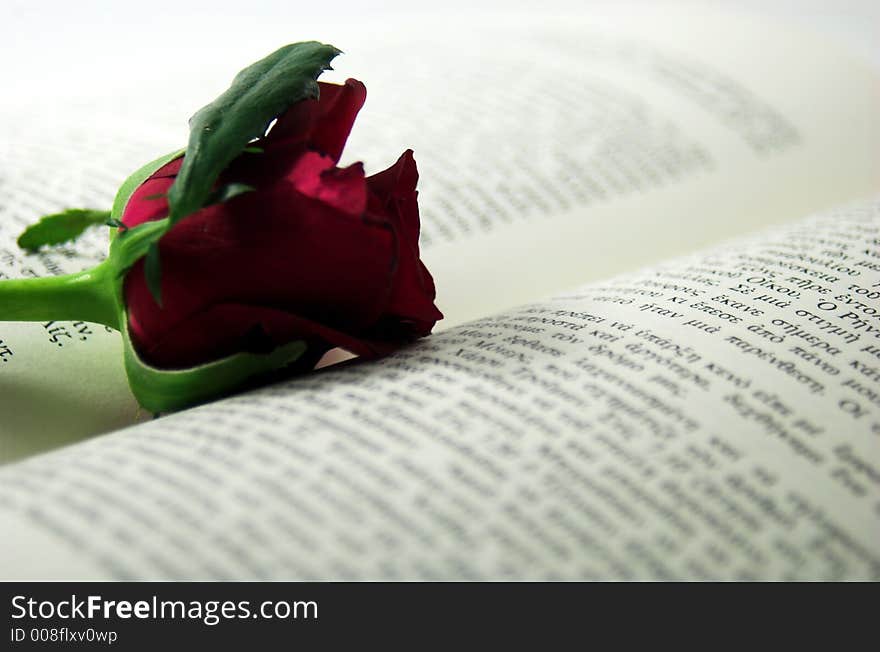 Romance photo with a red rose and a book. Romance photo with a red rose and a book