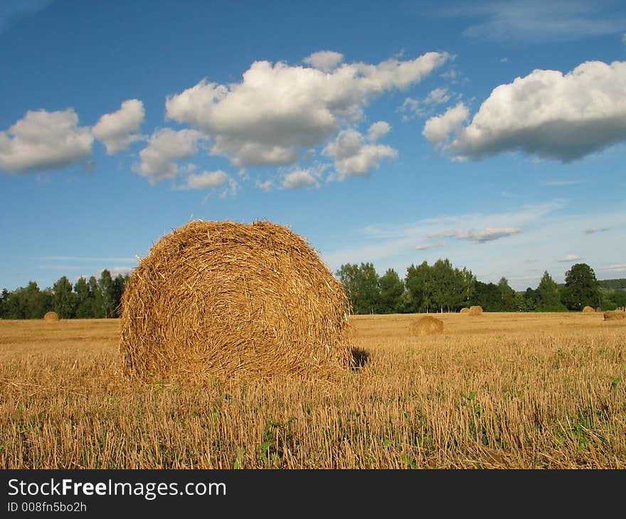 Haystacks, a wood, clouds, august