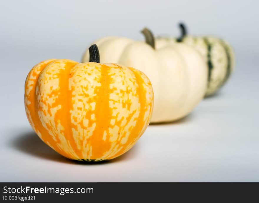 Three small pumpkins in a row with two out of focus. Three small pumpkins in a row with two out of focus