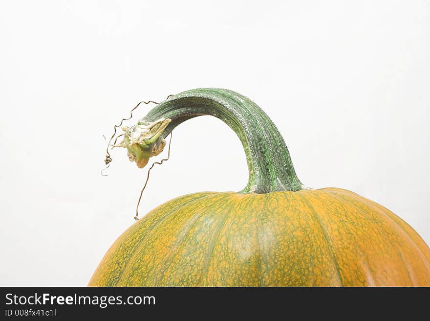 Close-up of a green and orange pumpkin with a curved stem. Close-up of a green and orange pumpkin with a curved stem.