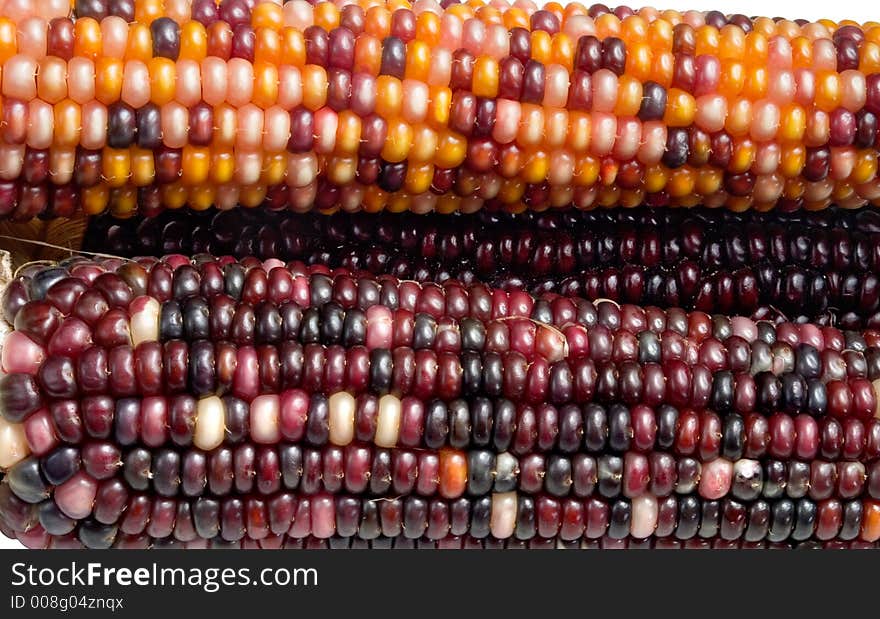 Three ears of Indian Corn detail. Three ears of Indian Corn detail