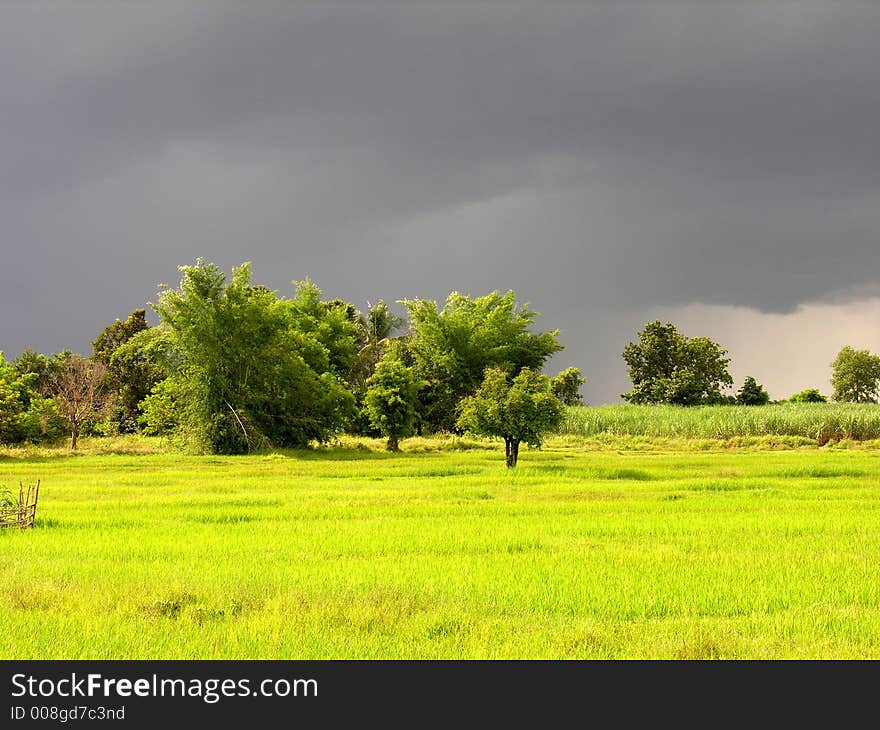 Thailand, Storm, Landscape, Asia, Siam, Tree, green, weather, sky, meadow. Thailand, Storm, Landscape, Asia, Siam, Tree, green, weather, sky, meadow