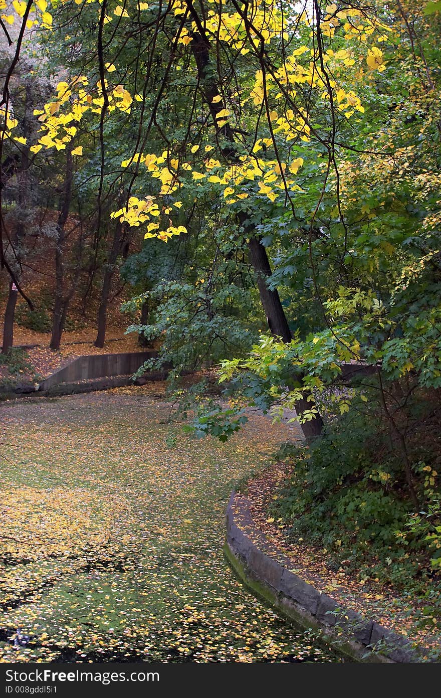 Autumn in ancient park of Moscow. Autumn in ancient park of Moscow.