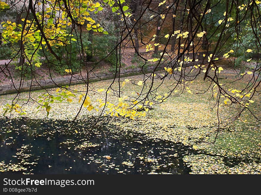 Autumn in ancient park of Moscow. Autumn in ancient park of Moscow.