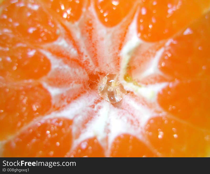 Mandarin macro of a water drop. Mandarin macro of a water drop