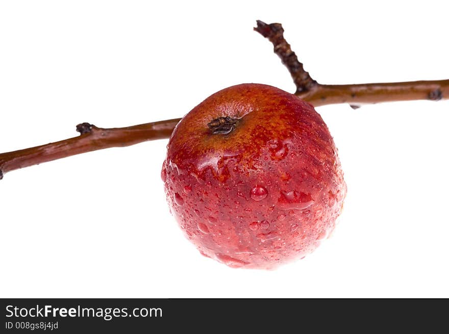 Red apple on white background. Red apple on white background