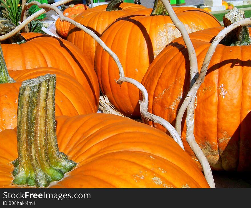 Pumpkin Vegetables