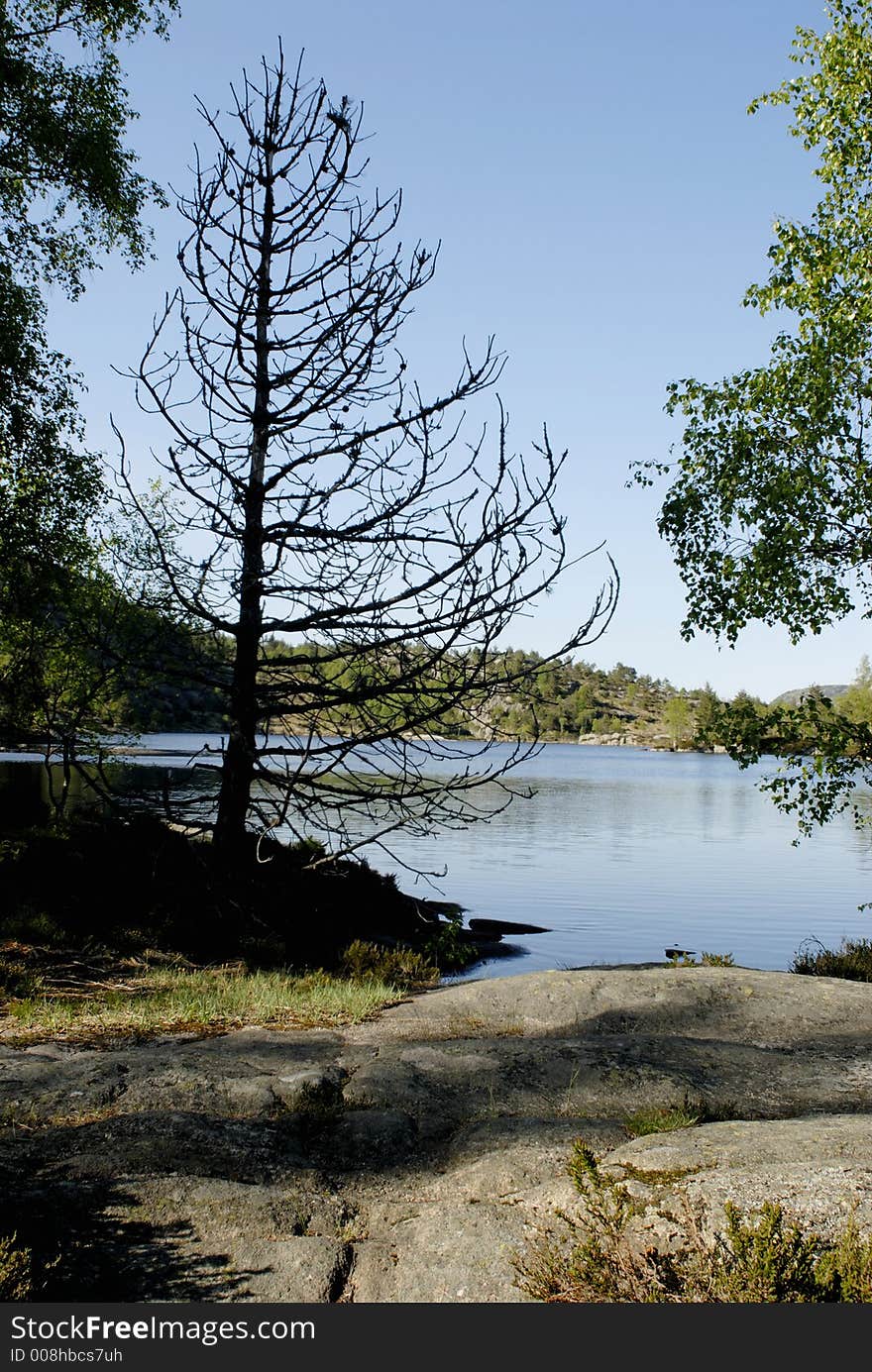 Picture of land scenery in central Norway. Picture of land scenery in central Norway.