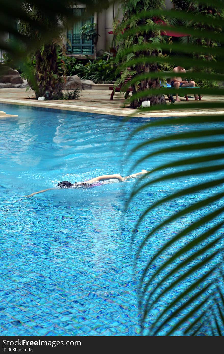 Swimming Pool And Palm Frond