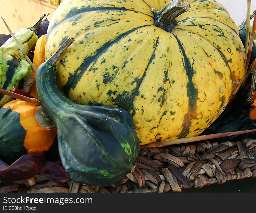 Pumpkin Vegetables