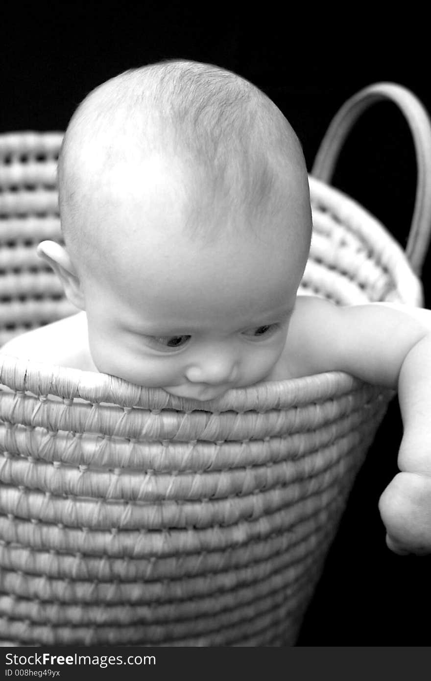 Black and white image of a baby sitting in a basket, chewing on the side of it. Black and white image of a baby sitting in a basket, chewing on the side of it