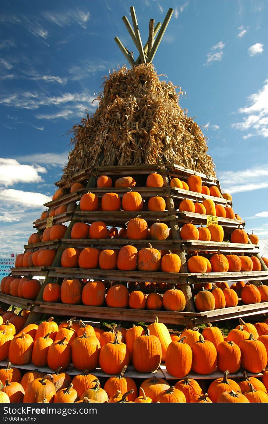 Pumpkins on a wigwam shaped display at pumpkin farm. Pumpkins on a wigwam shaped display at pumpkin farm