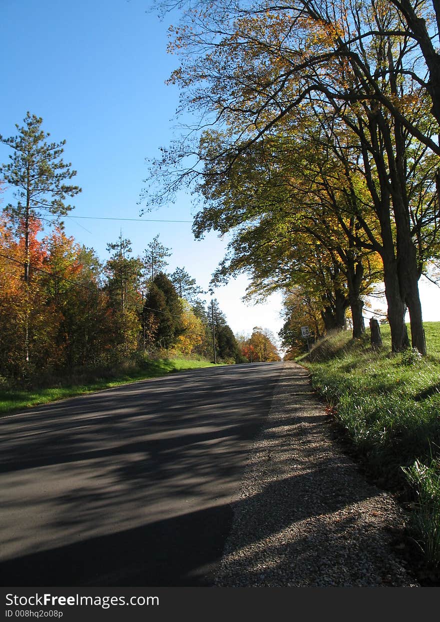 A country road in a sunny autumn morning.