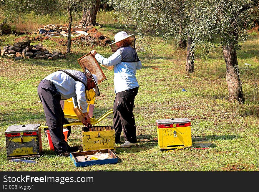 Bee boxes and bee keepers on work ... look the motion. Bee boxes and bee keepers on work ... look the motion..