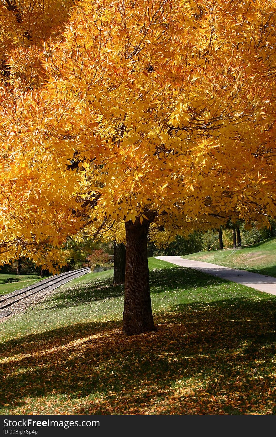 Fall colors in an Englewood, Colorado park in 2006. Fall colors in an Englewood, Colorado park in 2006.