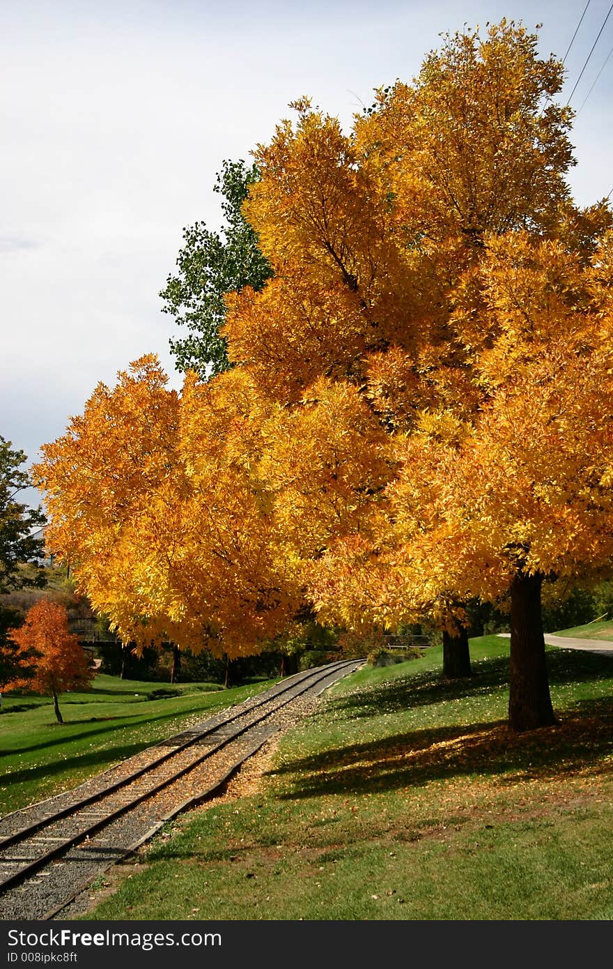 Autumnal trees by rail track