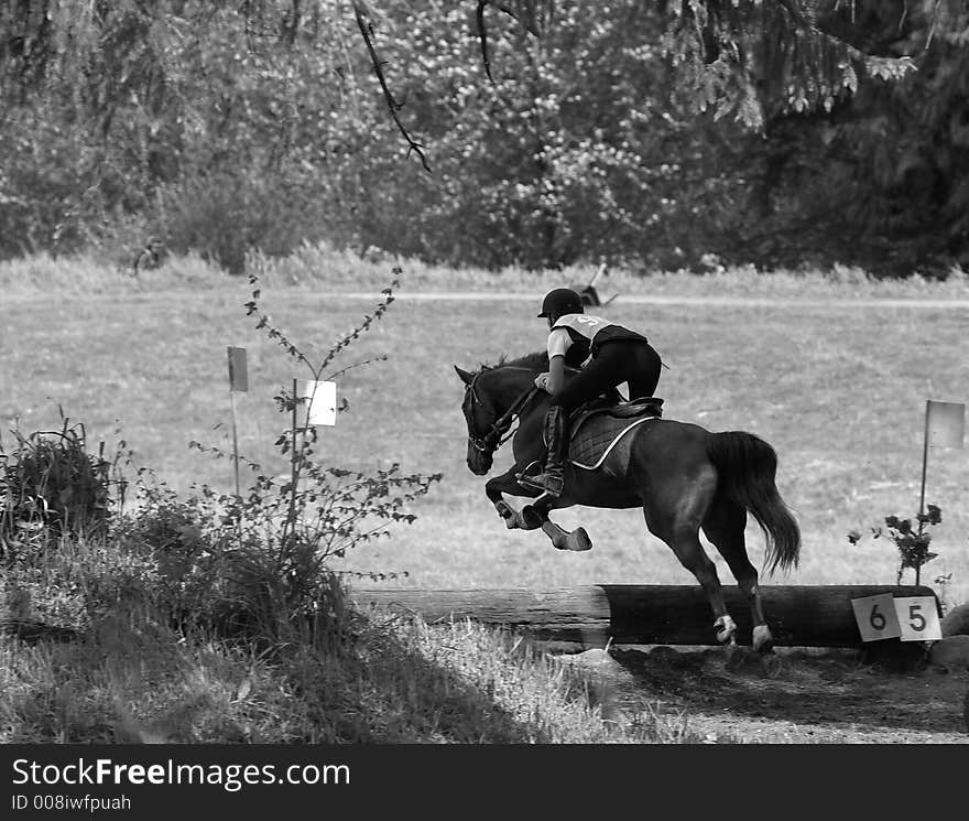 Horse and rider taking jump in local steeplechase