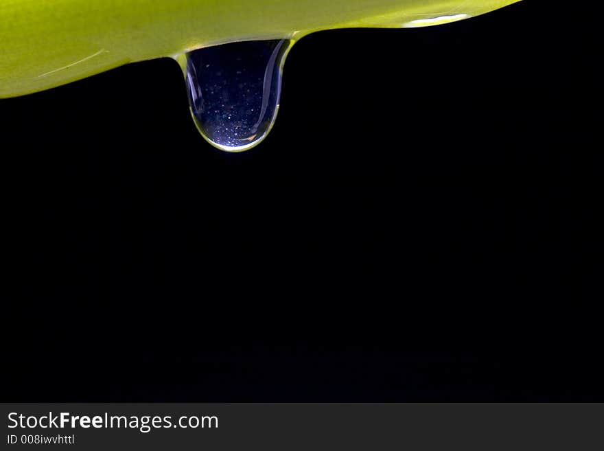 Drop on a plant on  black background