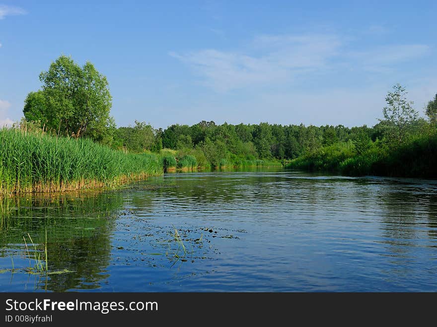 River in the summer day