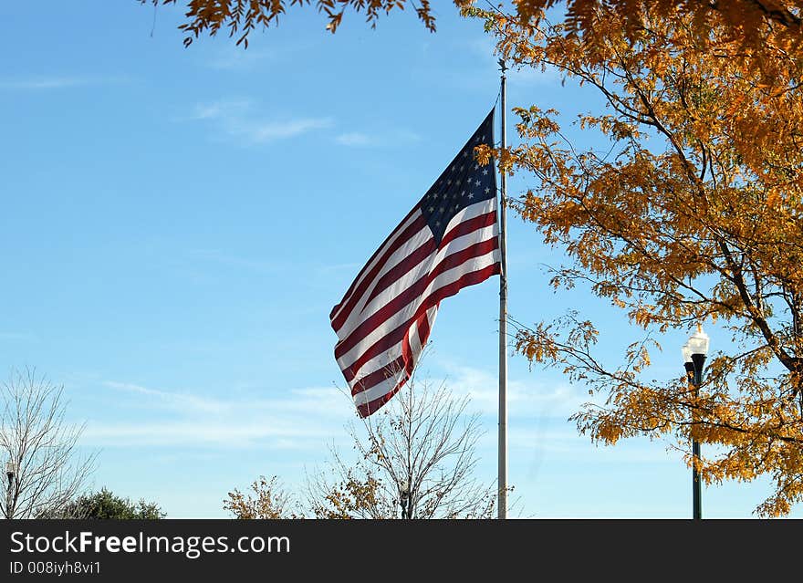 American flag framed with tree in fall colors and lampost. American flag framed with tree in fall colors and lampost.