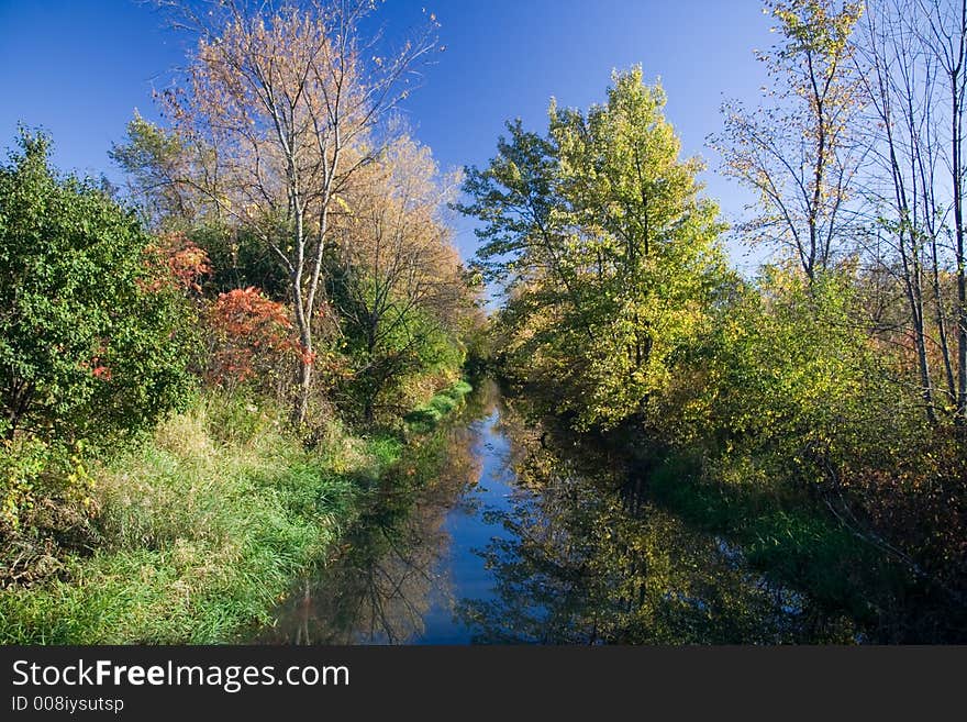 A forested river in Autumn. A forested river in Autumn