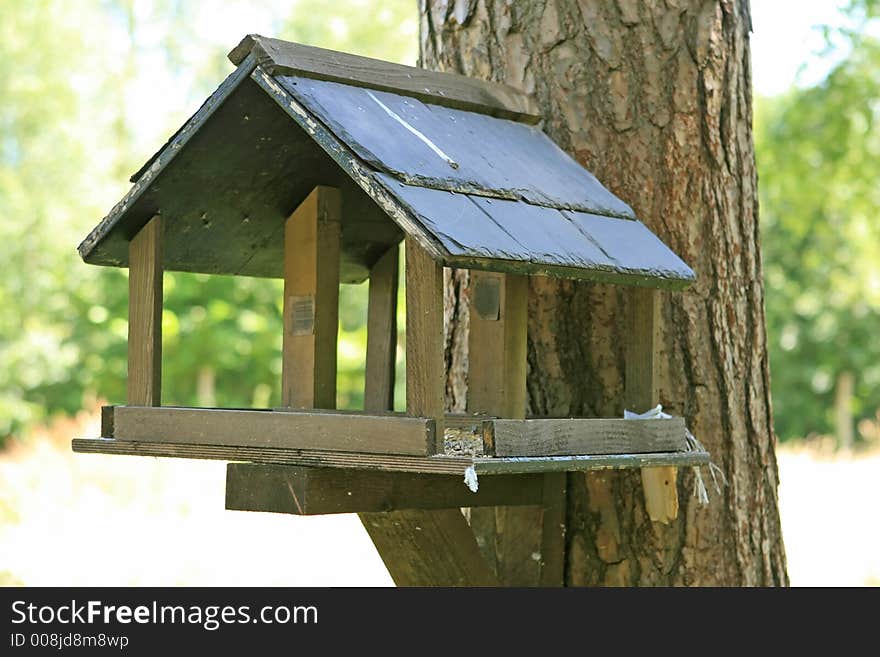 Wooden bird home, house on a tree. Wooden bird home, house on a tree