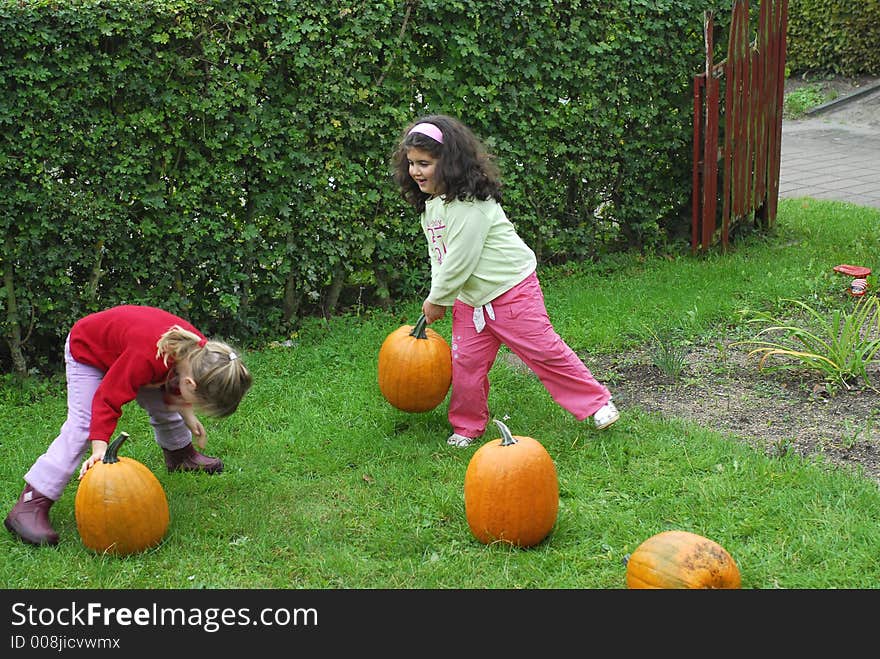 Collecting pumpkins