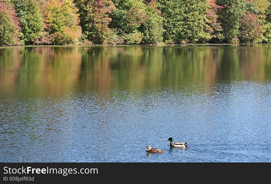 Fall is coming to NY