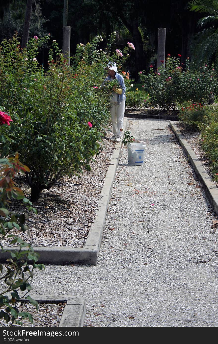 Photo of a rose garden keeper