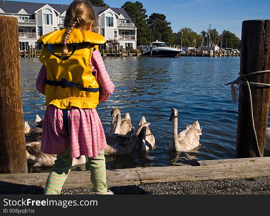 Young Girl Feeding Swans