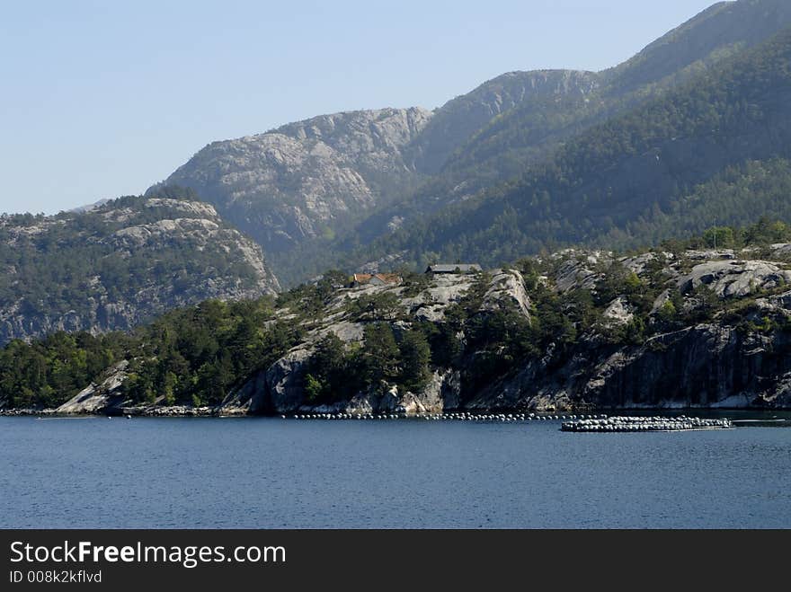 Birds in Lysefjord