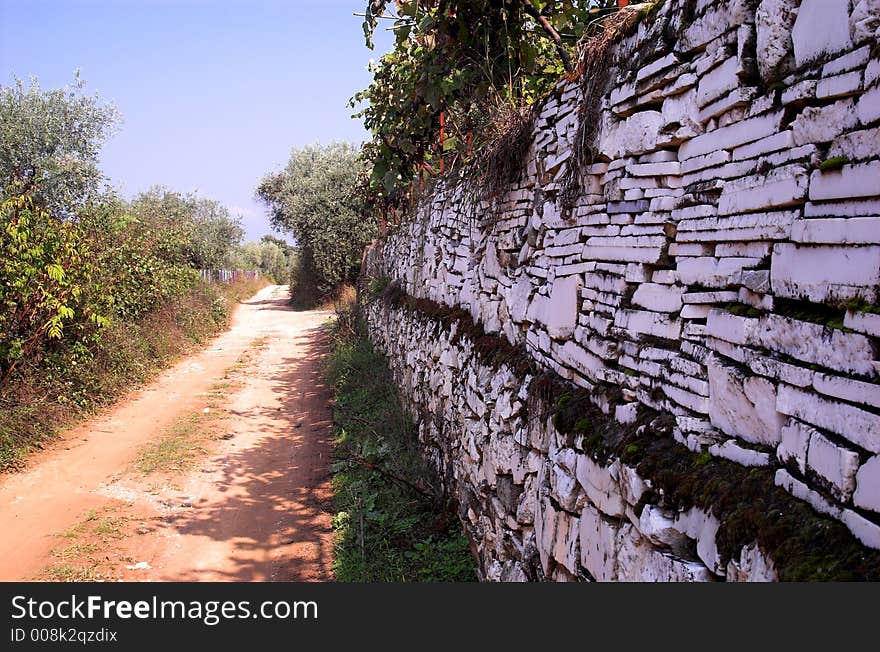 Path in olive trees