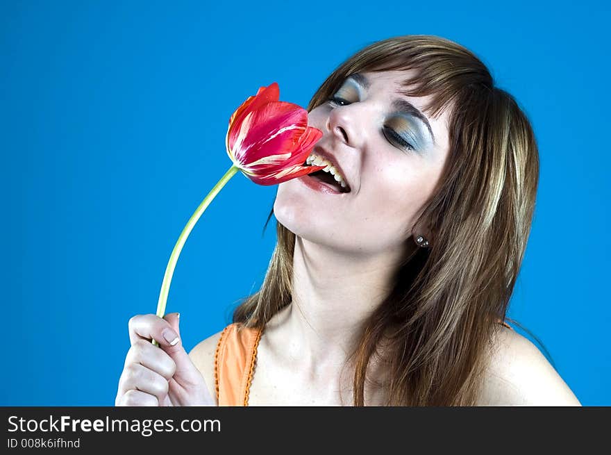 Portrait of a young girl smiling and smelling a red tulip, expression of youth and happiness; posing in a studio; nice make-up, isolated on blue background. Portrait of a young girl smiling and smelling a red tulip, expression of youth and happiness; posing in a studio; nice make-up, isolated on blue background