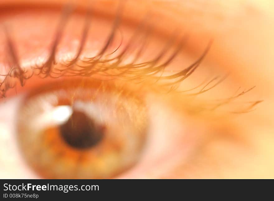 Close-up of a woman eye