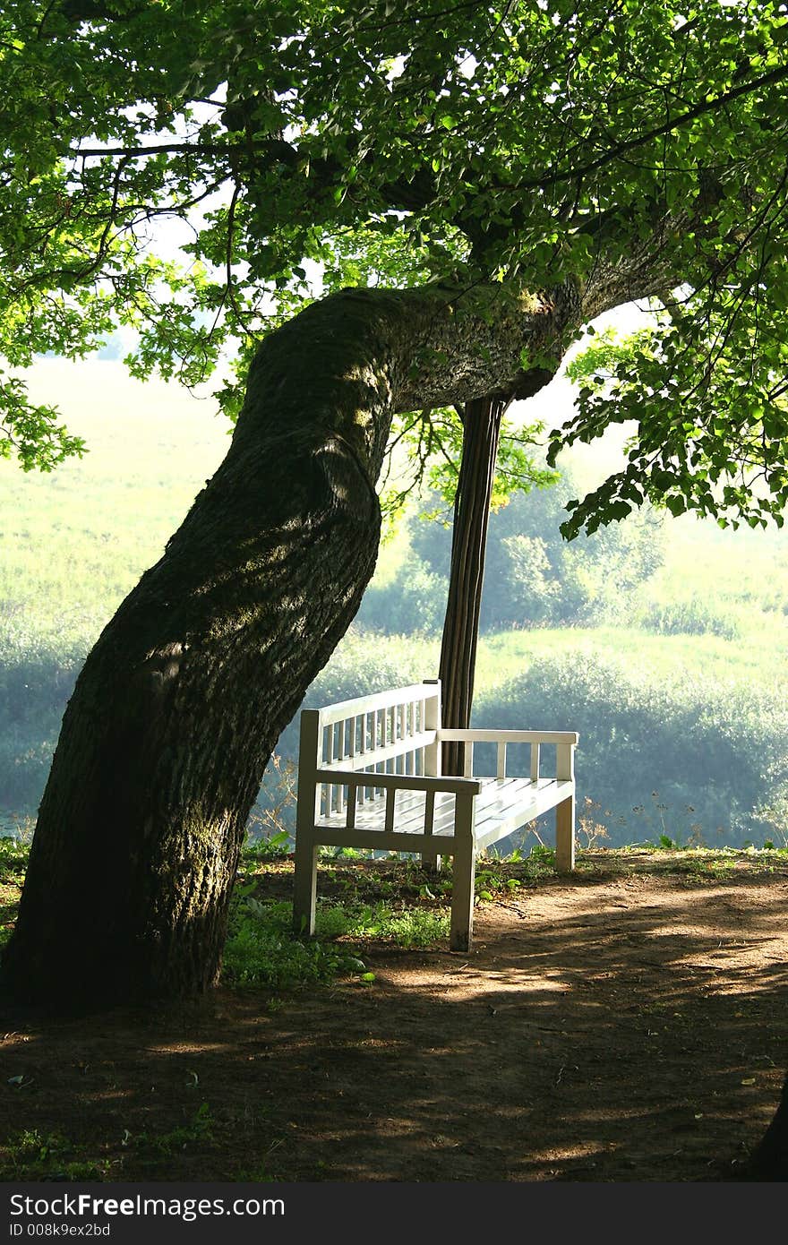 The bench of Onegin in manor Trigorskoe. The bench of Onegin in manor Trigorskoe.