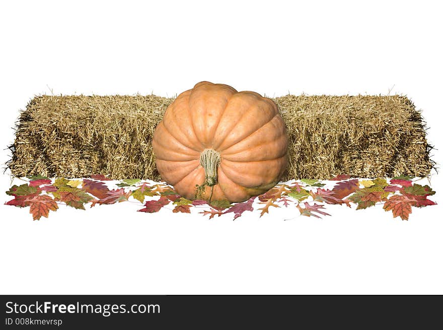 Harvest decorations on a white background. Harvest decorations on a white background