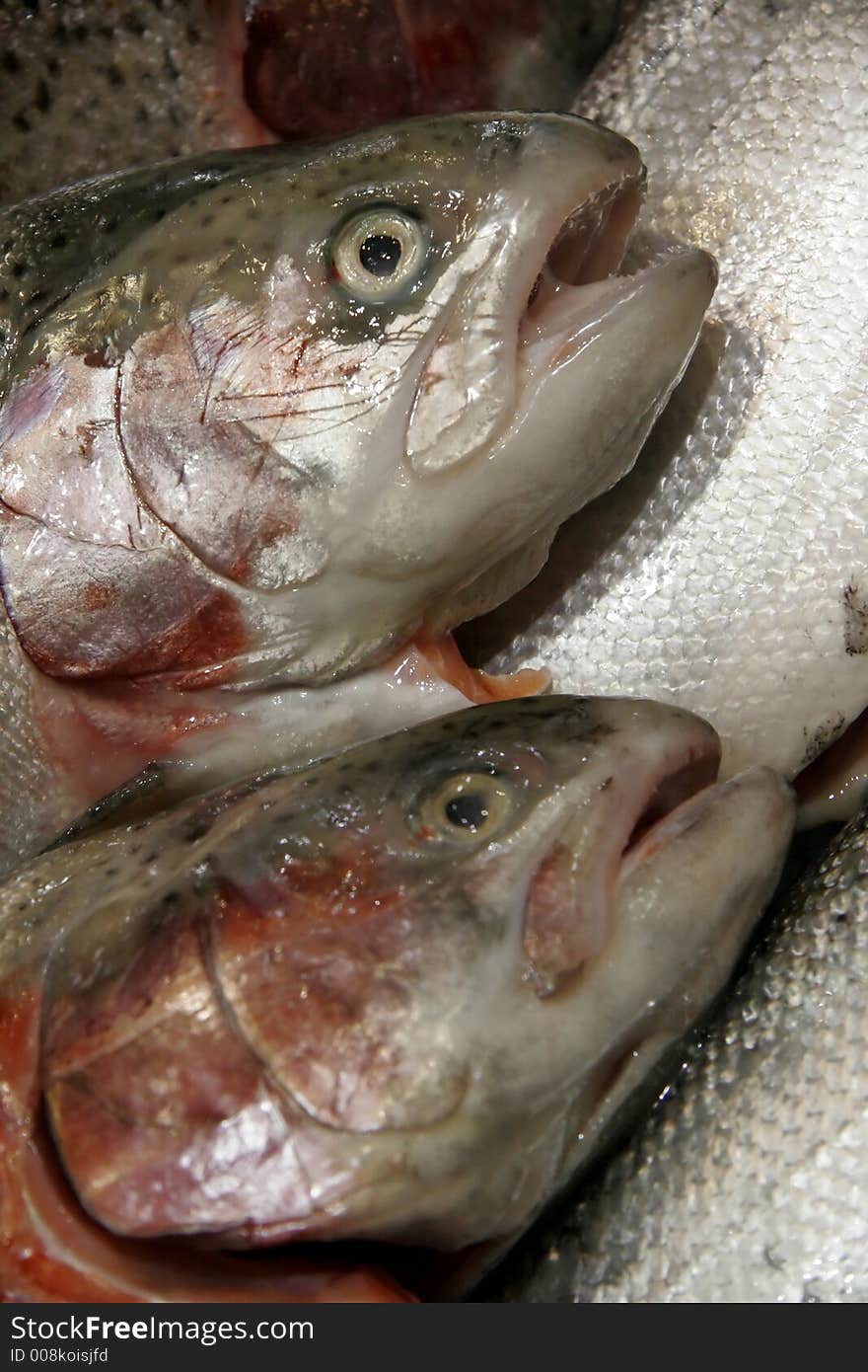 Fish at market, picture taken in Sidney.