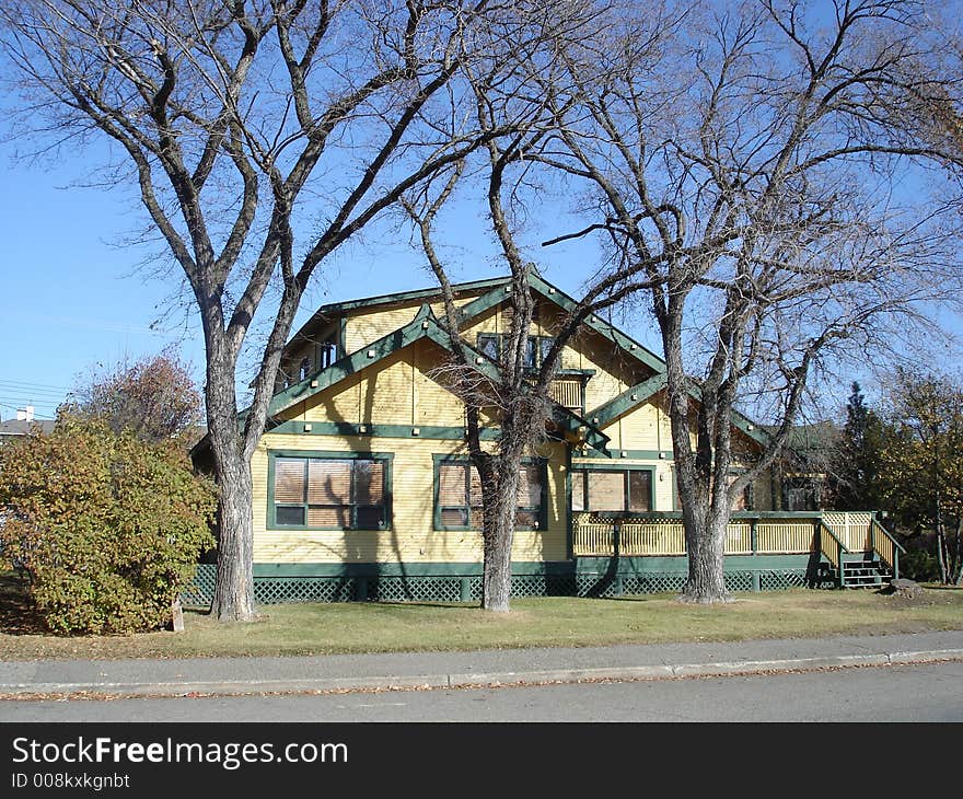 Sprawling branches above heritage house