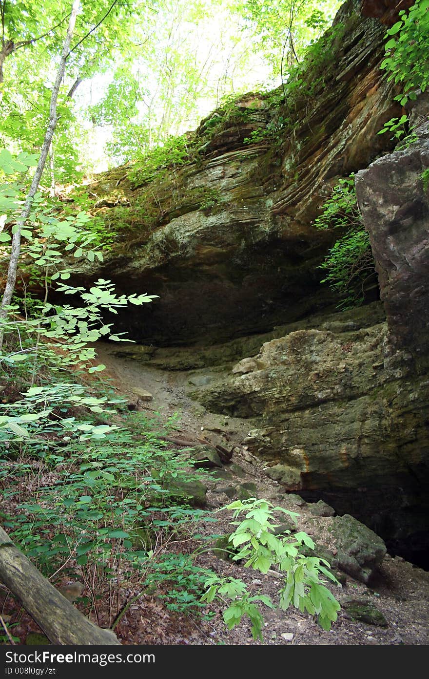 Path in the forest with a rock wall on the side. Path in the forest with a rock wall on the side