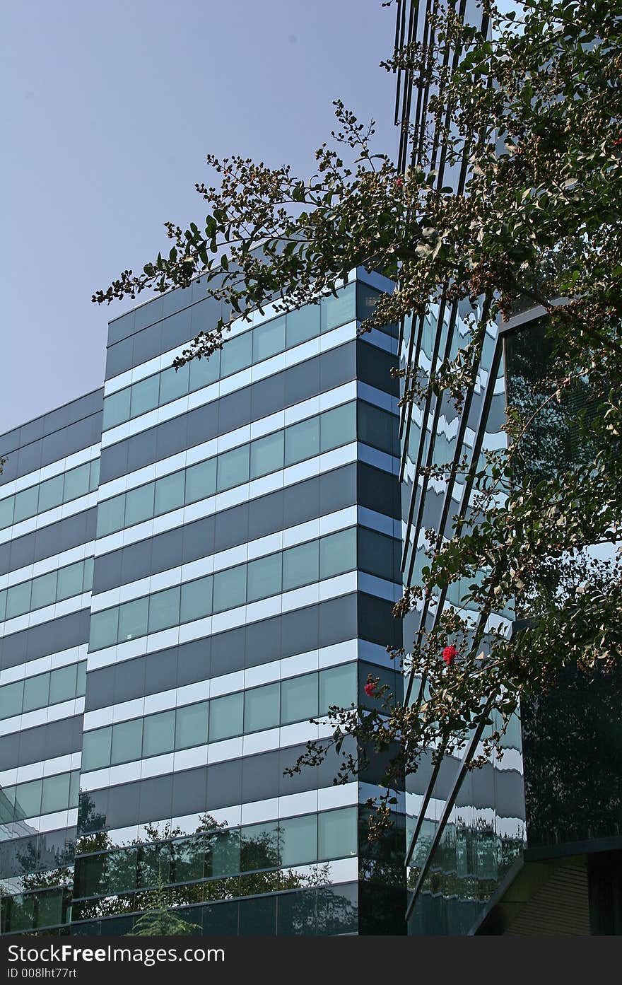 Blue Building in Trees