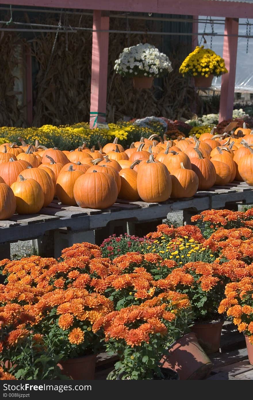 Autumn Display